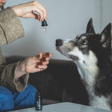 Back on Paws - 2,5% CBD eļļa mājdzīvniekiem (250mg) - H Drop Latvija